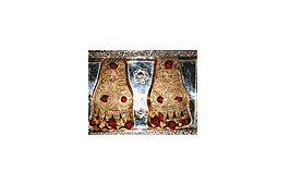Nagpura Mahotsav Durg